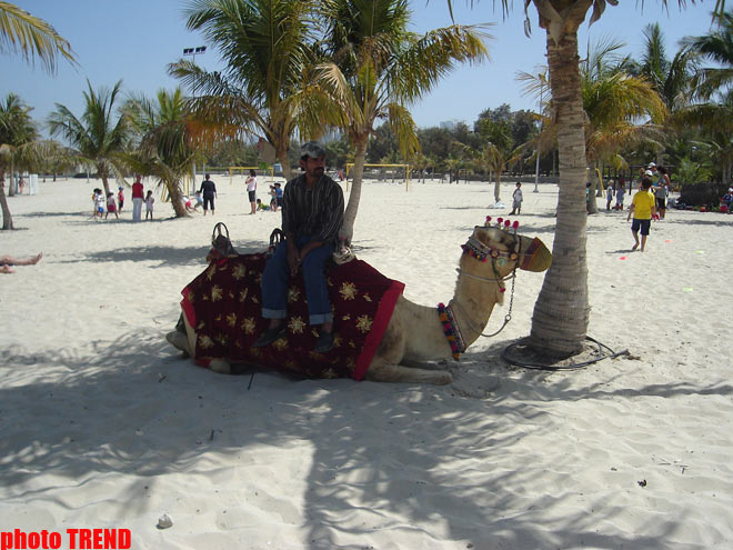 В Азербайджанском Дубае : автоши, адреналин, россияне… (фотосессия, часть четвертая)