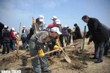 Школьники - финалисты состязания "Экоэрудит" приняли участие в посадке деревьев в экологическом парке SOCAR (ФОТО)