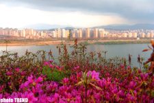 Корея - в стране будущего: уважение к аксакалам, или общие с азербайджанцами традиции (фотосессия)