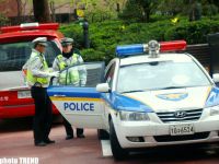 Корея- в стране будущего: собачатина, чопстики, или странные корейцы (пятая, завершающая часть – фотосессия)