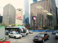 Корея- в стране будущего: собачатина, чопстики, или странные корейцы (пятая, завершающая часть – фотосессия)