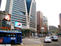 Корея- в стране будущего: собачатина, чопстики, или странные корейцы (пятая, завершающая часть – фотосессия)