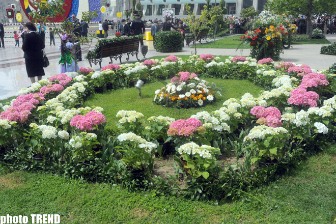 Праздник цветов в Баку (фотосессия)
