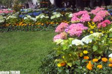 Праздник цветов в Баку (фотосессия)