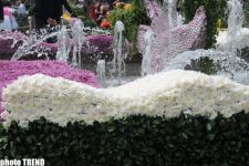 Праздник цветов в Баку (фотосессия)