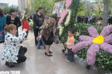 Праздник цветов в Баку (фотосессия)