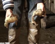 SOS! В Азербайджане разрушена дамба- села остались под водой, оползень- дома беженцев под землей (фотосессия)