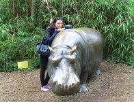 Певица Сафура вместе с баранами, козами и бегемотом (фотосессия)