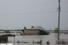 Население пострадавших от стихии регионов Азербайджана нуждается в срочной психологической помощи (фотосессия)