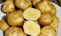 Самая дорогая еда в мире (фотосессия)