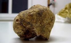 Самая дорогая еда в мире (фотосессия)