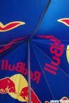 Red Bull там, куда еще не ступало колесо автомобильное (фотосессия)