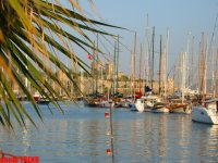 БОДРУМ - в столице турецкой тусовки: ночная жизнь, вопреки запрету мэрии (часть вторая, фотосессия)