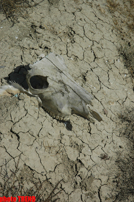 Off-road в Баку по дороге, которой нет (фотосессия)