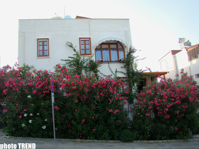 Путешествие Аян Бабакишиевой в столицу турецкого "лазурного побережья" Бодрум (фотосессия)