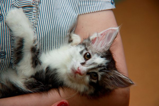 В Баку прошла выставка "Природа глазами детей" (фотосессия)