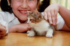 В Баку прошла выставка "Природа глазами детей" (фотосессия)