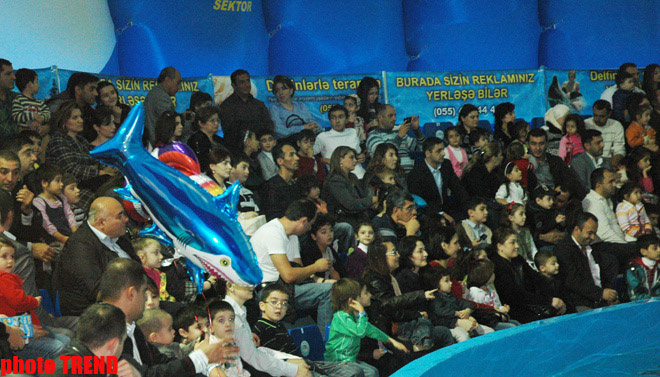 Дельфин с Черного моря рисует флаг Азербайджана, или Необычное шоу в бакинском дельфинарии (фотосессия)