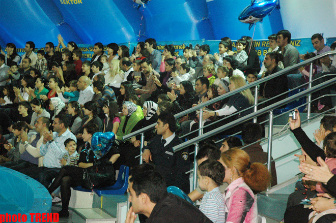 Дельфин с Черного моря рисует флаг Азербайджана, или Необычное шоу в бакинском дельфинарии (фотосессия)