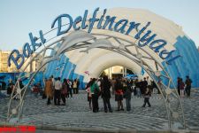 Дельфин с Черного моря рисует флаг Азербайджана, или Необычное шоу в бакинском дельфинарии (фотосессия)