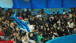 Дельфин с Черного моря рисует флаг Азербайджана, или Необычное шоу в бакинском дельфинарии (фотосессия)