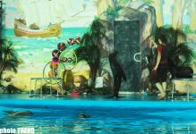 Дельфин с Черного моря рисует флаг Азербайджана, или Необычное шоу в бакинском дельфинарии (фотосессия)