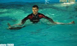 Дельфин с Черного моря рисует флаг Азербайджана, или Необычное шоу в бакинском дельфинарии (фотосессия)