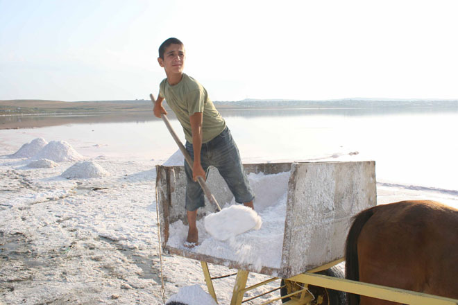 Два азербайджанских фильма будут показаны на Международном кинофоруме «Золотой Витязь» (фото)