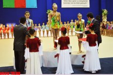 Победоносное шествие азербайджанских гимнасток