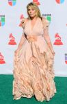 В Лас-Вегасе состоялась Latin Grammy Awards-2010 (фотосессия)