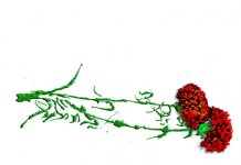 Реквием… Мы помним вас...