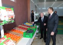 Президент Ильхам Алиев принял участие в Самухе в открытии предприятия по сушке и переработке фруктов (ФОТО)