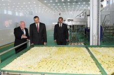Президент Ильхам Алиев принял участие в Самухе в открытии предприятия по сушке и переработке фруктов (ФОТО)