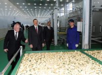 Президент Ильхам Алиев принял участие в Самухе в открытии предприятия по сушке и переработке фруктов (ФОТО)