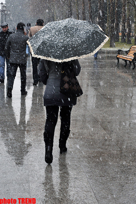 Снежинки в Баку - синоптики предупреждают: ожидается гололед (фотосессия)