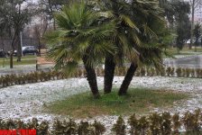 Снежинки в Баку - синоптики предупреждают: ожидается гололед (фотосессия)