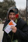 Древний Баку превратился в Гюлистан - история и значения цвета роз (фотосессия)