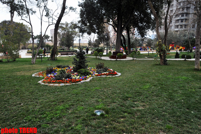 Каток, ледяное кафе, каменный фонтан - реконструированный Парк офицеров в Баку (фотосессия)