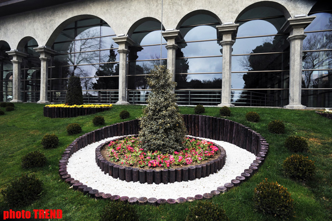 Каток, ледяное кафе, каменный фонтан - реконструированный Парк офицеров в Баку (фотосессия)