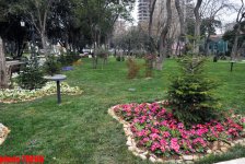 Каток, ледяное кафе, каменный фонтан - реконструированный Парк офицеров в Баку (фотосессия)