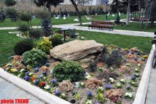 Каток, ледяное кафе, каменный фонтан - реконструированный Парк офицеров в Баку (фотосессия)