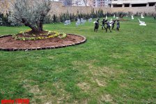 Каток, ледяное кафе, каменный фонтан - реконструированный Парк офицеров в Баку (фотосессия)