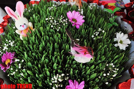 Праздник и традиции Новруз в Азербайджане (фотосессия)