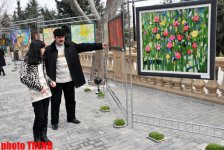 Праздник и традиции Новруз в Азербайджане (фотосессия)