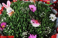 Праздник и традиции Новруз в Азербайджане (фотосессия)