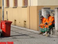 8 дней вокруг Европы! С собаками, кошками и хорьками в Чехию (фотосессия, часть вторая)