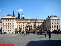 8 дней вокруг Европы! С собаками, кошками и хорьками в Чехию (фотосессия, часть вторая)