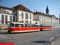 8 дней вокруг Европы! С собаками, кошками и хорьками в Чехию (фотосессия, часть вторая)
