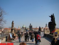 8 дней вокруг Европы! С собаками, кошками и хорьками в Чехию (фотосессия, часть вторая)