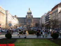 8 дней вокруг Европы! С собаками, кошками и хорьками в Чехию (фотосессия, часть вторая)